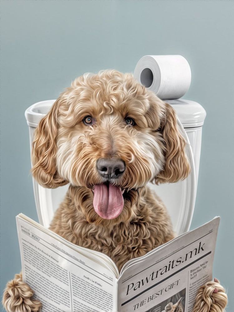 Pet Spa