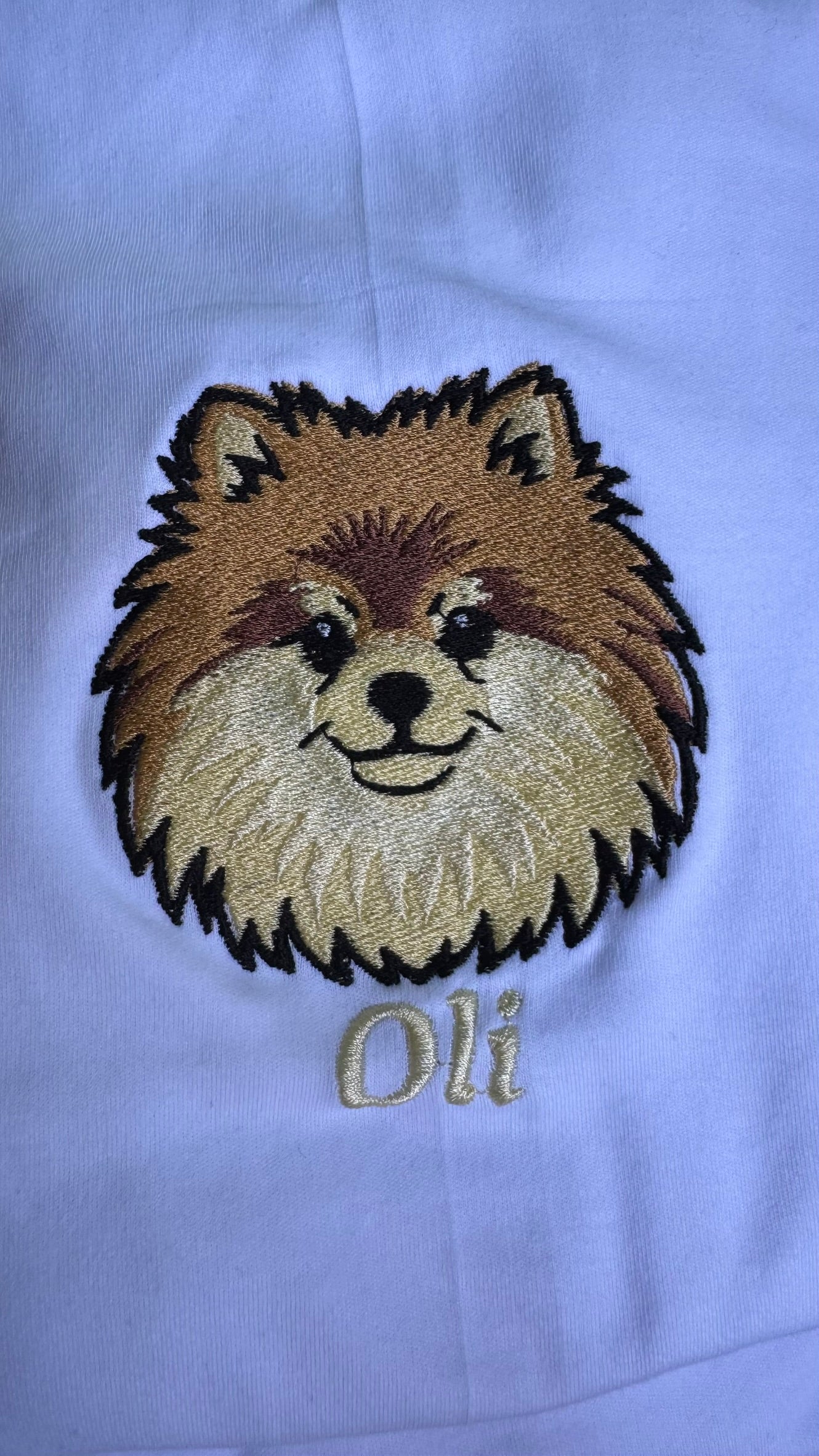 Персонализиран везен дуксер со Вашиот миленик - Лик во боја и име на ракав (Полн Вез )