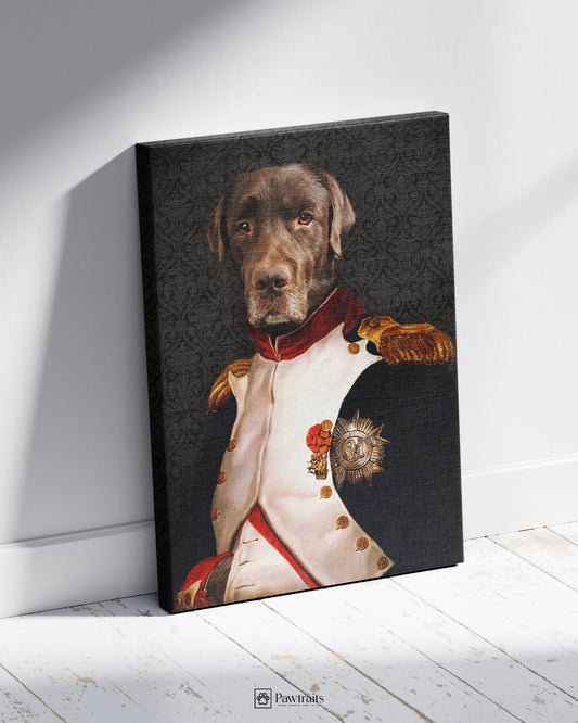 General Barkington - Персонализиран портрет на канвас