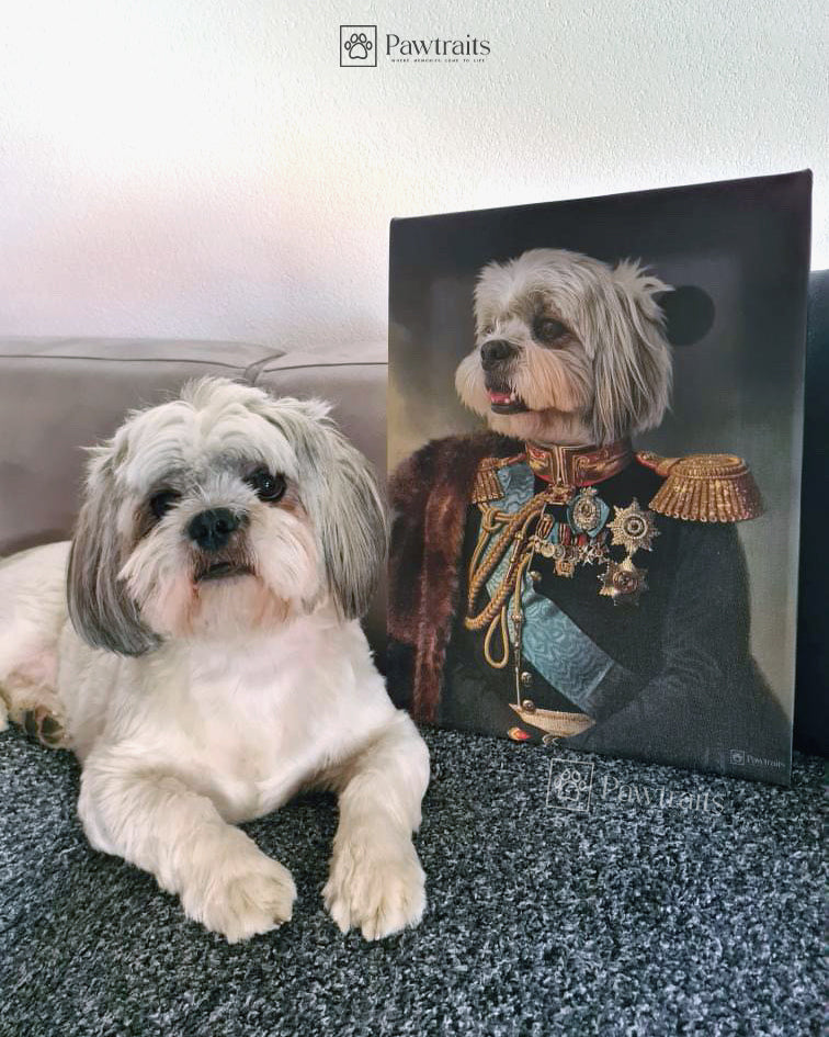 General Paw - Персонализиран портрет на канвас